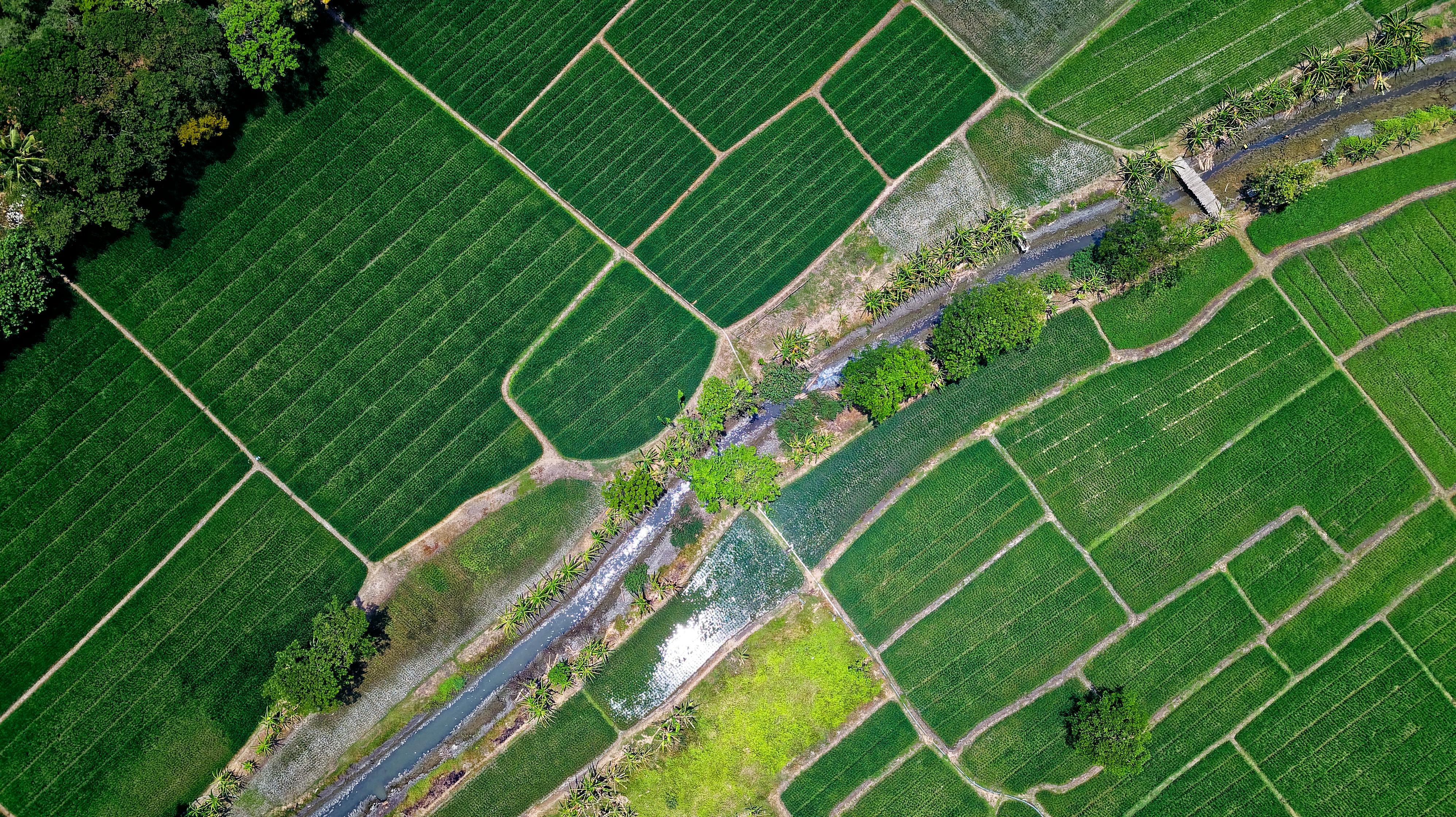 aeroview of a farm