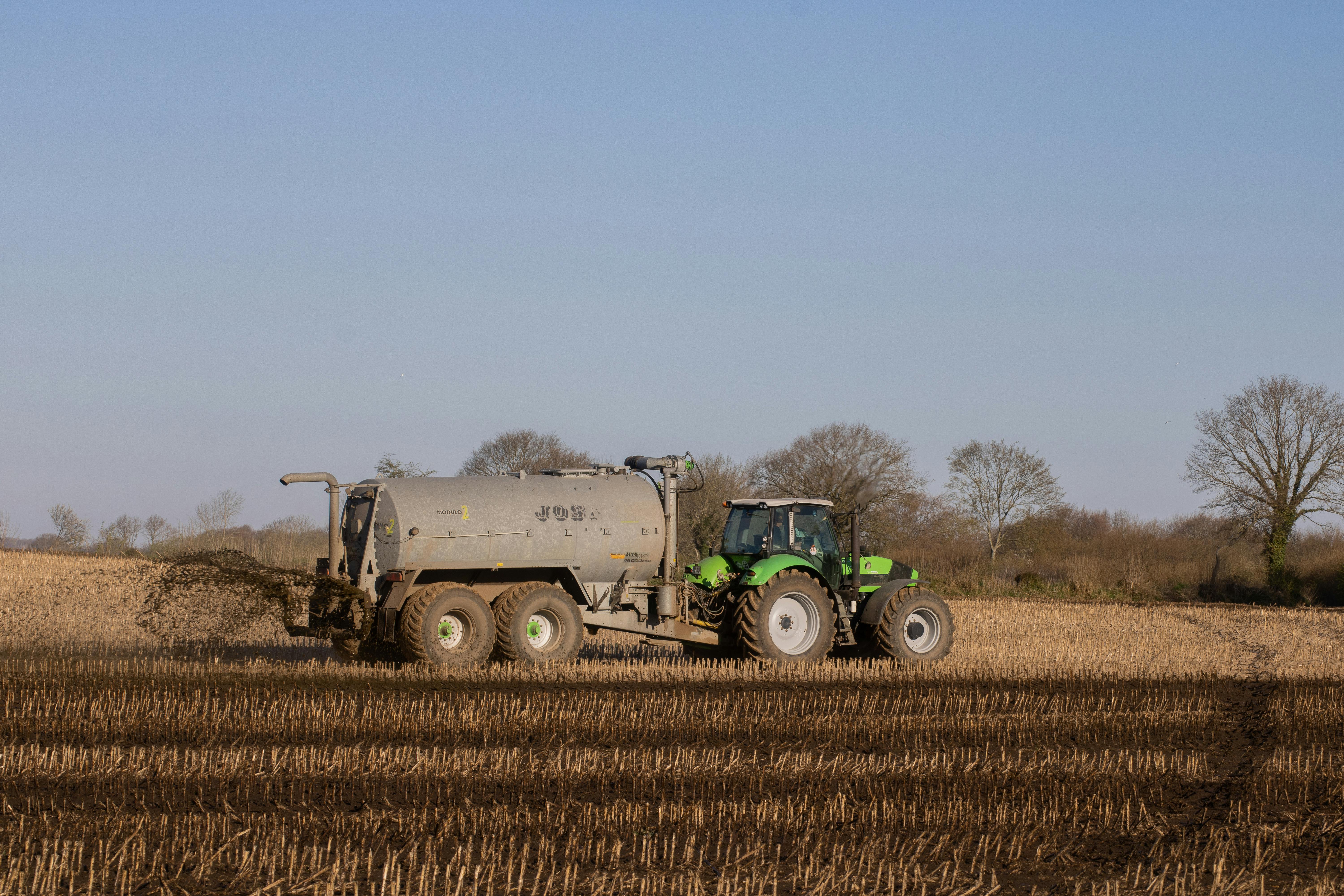 organic fertilizer